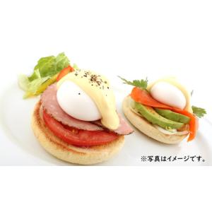 スノーマン オランデーズソース 100gの詳細画像1