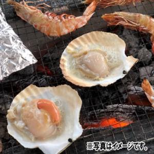 Umios 北海道ホタテ貝殻付(M) 10枚の詳細画像1