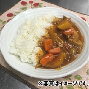 ライフフーズ カレー用野菜ミックス 1kgの詳細画像2