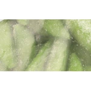 ノースイ カンタン菜園 スナックエンドウ 500gの詳細画像2