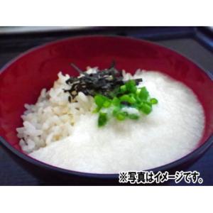 イースタンフーズ 味付ながいもとろろ 50g×10の詳細画像1