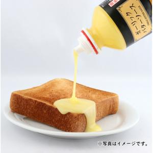 ケンコー ガーリックバターソース 515gの詳細画像2