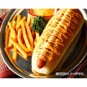 ケンコー とろ〜りチーズソース 450gの詳細画像1