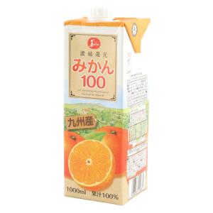 ジューシー　みかん100　1L｜業務用食品アミカYahoo!店