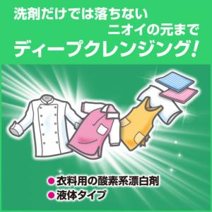 花王 ワイドハイターEXパワー業務用 4.5Lの詳細画像1
