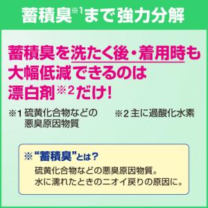 花王 ワイドハイターEXパワー業務用 4.5Lの詳細画像2