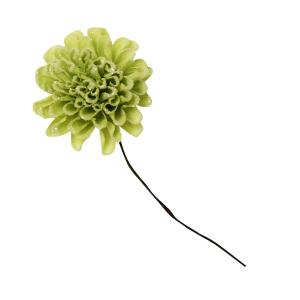 リニューアル フェアリーピック カーネーション ライムグリーン