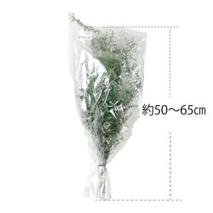 ミスティブルー ブルー 約65g入 プリザーブ...の詳細画像2