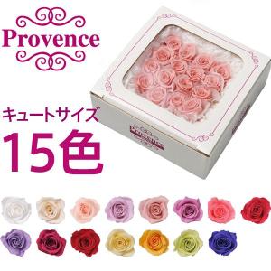 プリザーブドフラワー プロヴァンスローズ キュート16輪