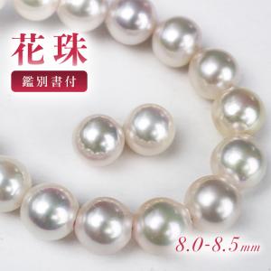 MIKIMOTO（ミキモト） 真珠屋さん【花珠鑑別】特大！ 10〜10.5mm