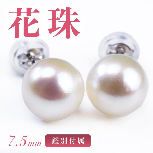 鑑別カード付 花珠 7.5mm ピアス プラチナ pt あこや真珠ピアス おすすめ 花珠真珠 一粒ピ...