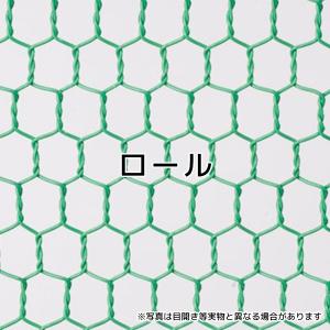 ビニール亀甲金網　ネット　幅175cm ビニール亀甲金網ブラック 目開き 16mm #20 線径 0.85mm サイズ 910mm