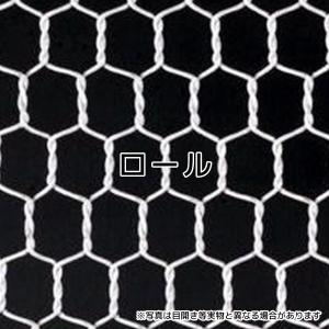 ビニール亀甲金網ブラック 目開き 16mm #20 線径 0.85mm サイズ 910mm