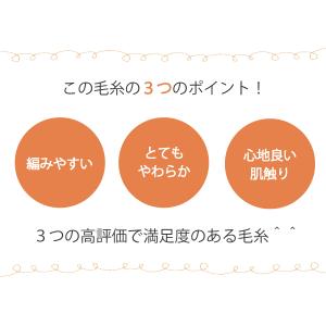 毛糸 秋冬 あみもねっと 気になるメリノ極太の詳細画像5
