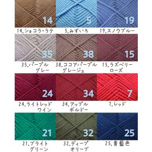 毛糸 秋冬 あみもねっと 気になるメリノ極太の詳細画像2