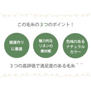 毛糸 春夏 あみもねっと 麻糸 リネン 合太の詳細画像4