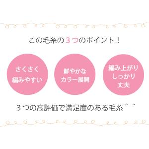 毛糸 春夏 あみもねっと 楽ラクコットン 極太...の詳細画像4