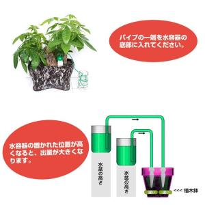 水やり当番 小型 自動給水器 植物 水やり器 ...の詳細画像2