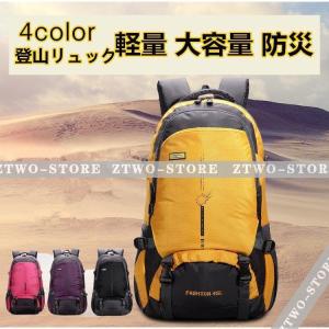 登山 リュック 登山 バッグ パック ザック 登山リュックサック バッグパック 45L 大容量　登山 旅行 アウトドア 男女兼用 レディース メンズ ザック｜amistad-2