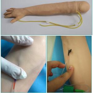採血練習キット、注射練習 腕静脈穿刺 練習 講...の詳細画像4