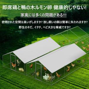 鶏小屋 キット 大型 亜鉛メッキ鋼製鶏用ケージ...の詳細画像1