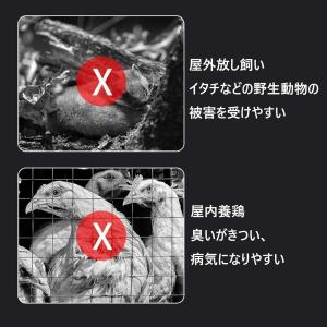 鶏小屋 キット 大型 亜鉛メッキ鋼製鶏用ケージ...の詳細画像4