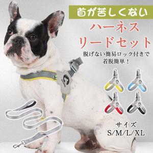 BURBERRY（バーバリー） ドッグリード 8073365 レザー バーバリー