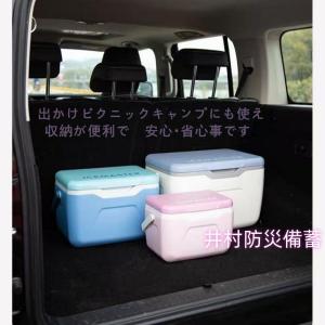 お中元 クーラーボックス 小型 5.5L おし...の詳細画像2