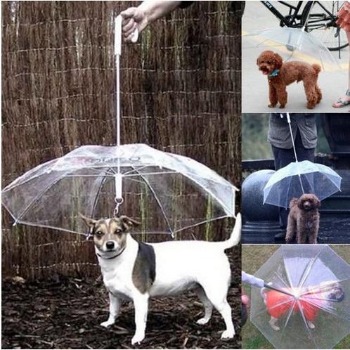 ペット用 傘 犬用 リード  お出かけ アンブレラ 雨天でもお散歩アンブレラ 雨具