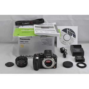 Panasonic LUMIX DMC-G5X + LUMI...