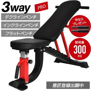 WILD FIT（ワイルドフィット） インクラインデクラインベンチ / インク