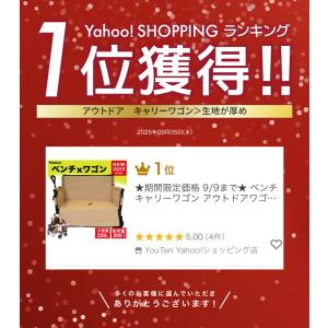 ★期間限定価格 8/17まで★ ベンチキャリー...の詳細画像1
