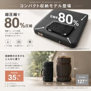 電動ポンプ内蔵 インフレーターマット ダブル ...の詳細画像2