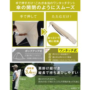 ★期間限定価格 8/11まで★ Pasinaz...の詳細画像5