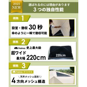 ★期間限定価格 8/17まで★ Pasinaz...の詳細画像2