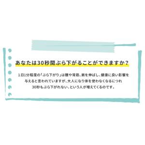 ★期間限定価格 4/1まで★ ぶら下がり健康器...の詳細画像2