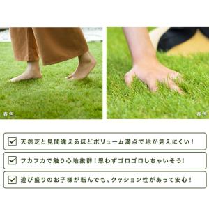 人工芝 リアル人工芝 幅1m×長さ10m 毛足...の詳細画像5
