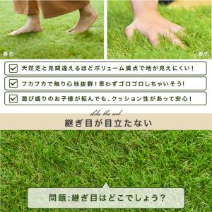 ★1年保証★ 人工芝 リアル人工芝 【幅2m分...の詳細画像5