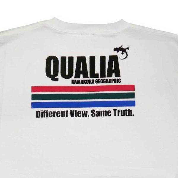 鎌倉・湘南から発信【鎌倉Tシャツ / Qualia (クオリア) サイエンスシリーズ】2026 Sc...