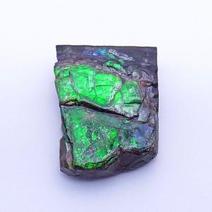 カナディアン アンモライト 原石 トップグレード (35-333