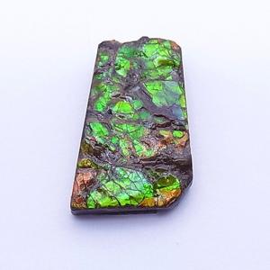 アンモライト かけら 欠片 S 標本にどうぞ パワーストーン お守り 天然石 化石 1541｜ammolite-museum