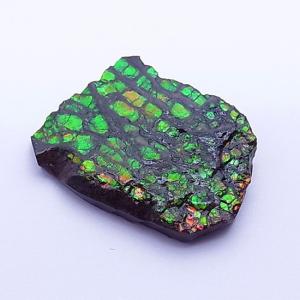 アンモライト かけら 欠片 S 標本にどうぞ パワーストーン お守り 天然石 化石 1549｜ammolite-museum