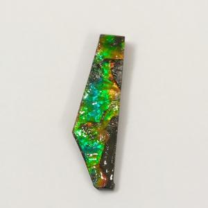 アンモライト かけら 欠片 S 標本にどうぞ パワーストーン お守り 天然石 化石 1802｜ammolite-museum