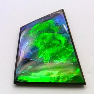 カナディアン アンモライト 原石 トップグレード (35-333