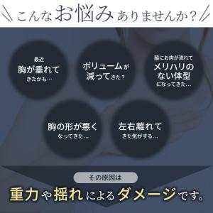 ナイトブラ 寝るとき ブラジャー ノンワイヤー...の詳細画像1