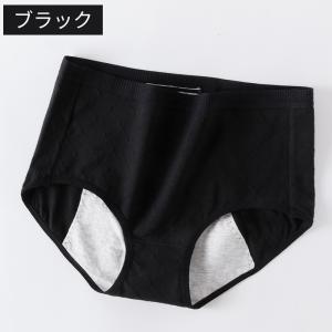 サニタリーショーツ 夜用 多い日 サニタリーパ...の詳細画像1