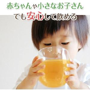 【ティーカップ用】AMOMA(アモーマ) グリ...の詳細画像5