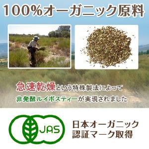 【ティーカップ用】AMOMA(アモーマ) グリ...の詳細画像1