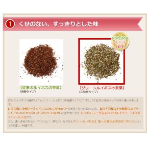 【ティーカップ用】AMOMA(アモーマ) グリ...の詳細画像4