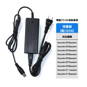 YAMAHA YPJ X07-20 バッテリーチャージャー X07-8210C-20
